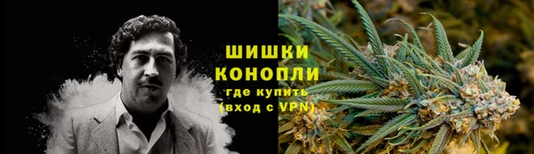 сатива Вязьма