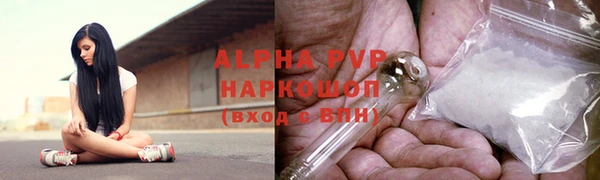 сатива Вязьма