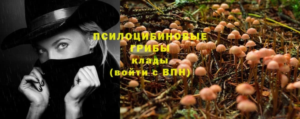 сатива Вязьма