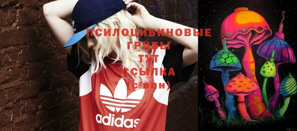 амф Вязники