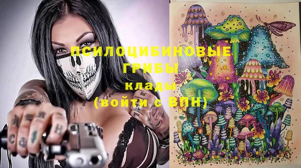 дурь Волосово
