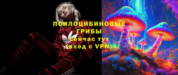 ALPHA-PVP Вяземский