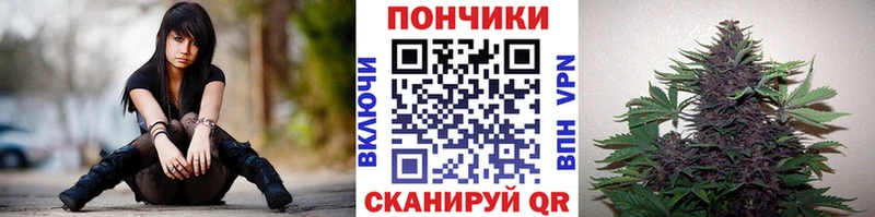 где найти   дарк нет какой сайт  Канабис White Widow  Первоуральск  ссылка на мегу как зайти 